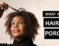 Natural Hair Porosity