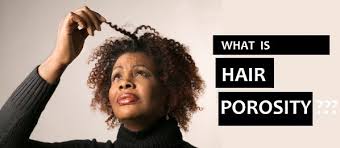 Natural Hair Porosity